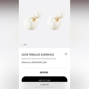 Dior Tribales Earrings BNWT